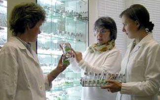 УНУ &quotКоллекция in vitro клонов редких видов сем. Betulaceae"