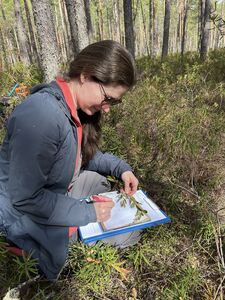 Старший научный сотрудник лаборатории динамики и продуктивности таежных лесов Надежда Геникова занимается ботаническим описанием
