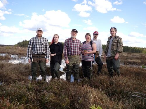 Участники проекта – сотрудники лаборатории болотных экосистем Института биологии КарНЦ РАН