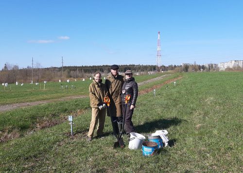 Сотрудники Института леса продолжают работы по расширению и благоустройству Дендрария КарНЦ РАН Сотрудники Института леса продолжают работы по расширению и благоустройству Дендрария КарНЦ РАН