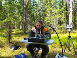 Лаборатория под открытым небом: старший физик Денис Семин измеряет водный потенциал охвоенных побегов