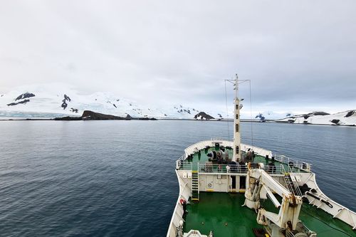 Бухта о. Хаф-Мун, Южные Шетландские острова. Фото: С. Мурзина