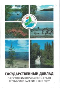 Госдоклад 2019 Госдоклад 2019
