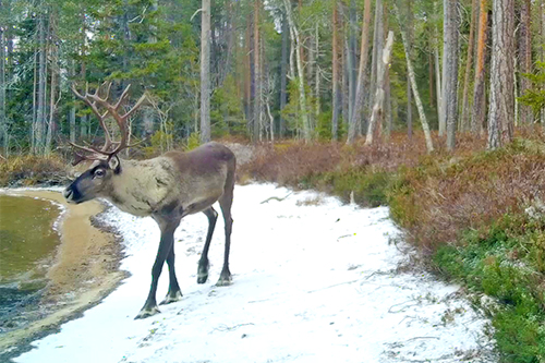 ������ �������� �����. ����: ������ �������� / �� ����� ���