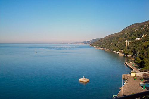 ����������� ����. ����: ���� ������ / ���� ����� ���