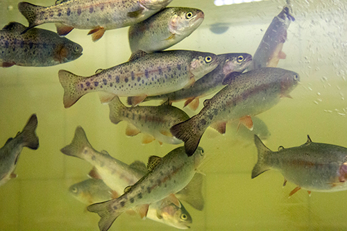 �������� ������ � ������������ ��������� �������� ����� ���. ����: �������� ������� / ������ ������� ������������ ����� ���